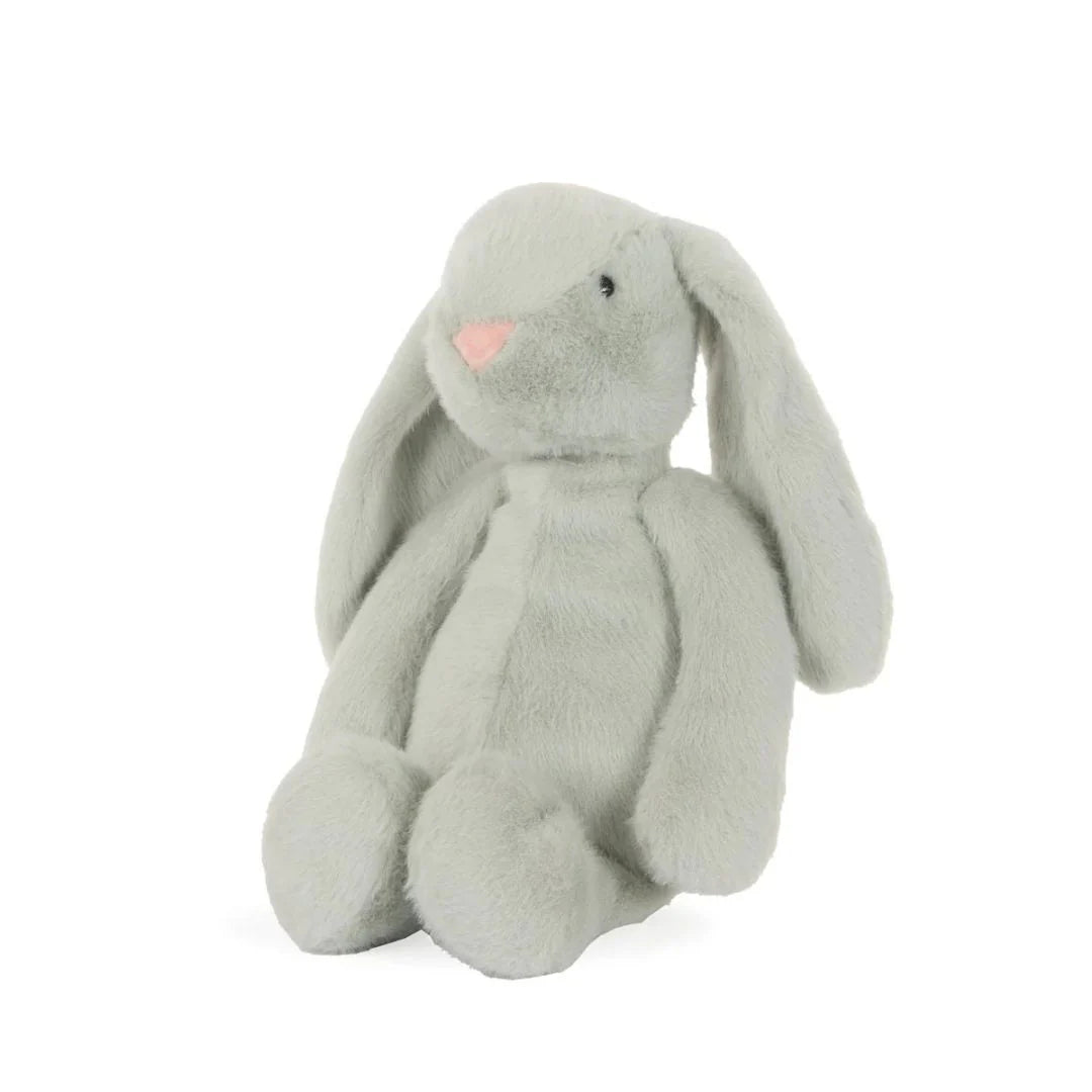 Jasper Bunny - SPROUT