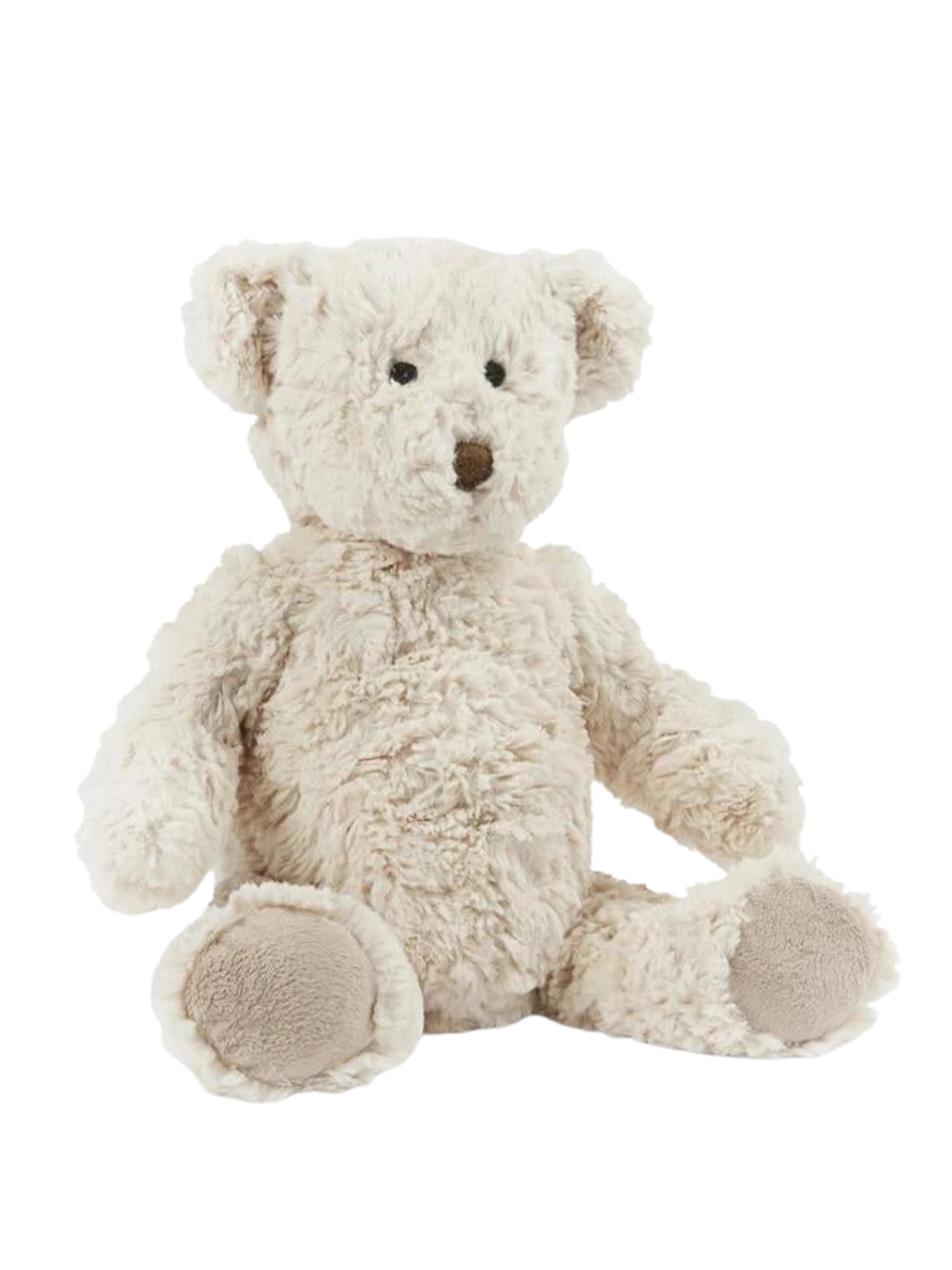 Freddy The Teddy
