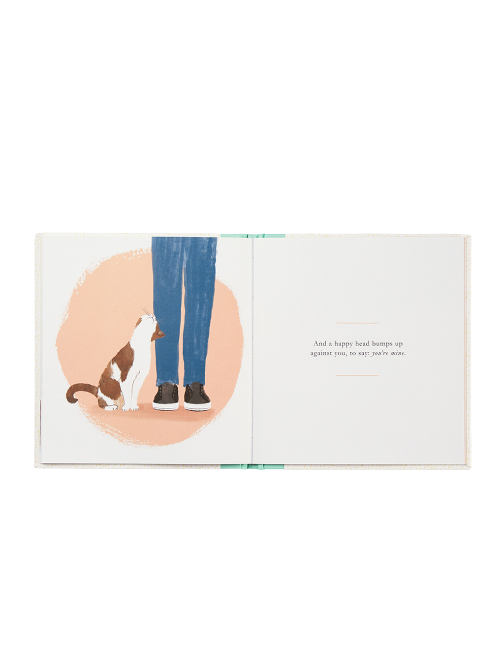 When You Love A Cat