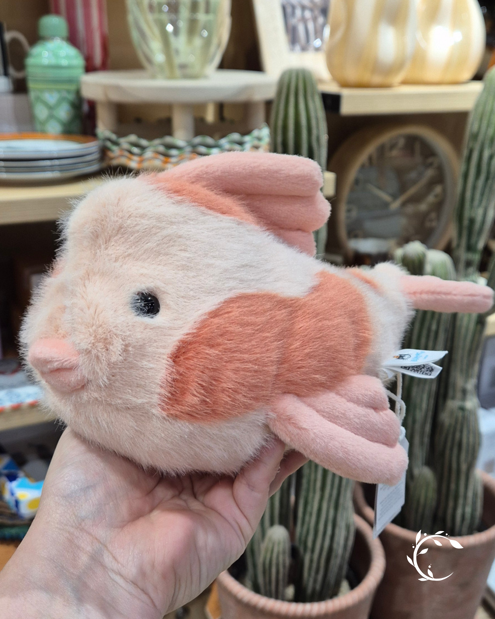 Fancy Carp