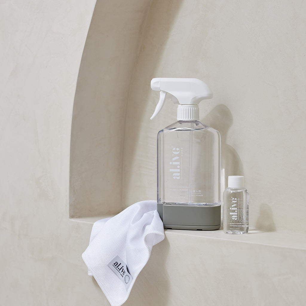 Glass and Mirror Cleaning Kit