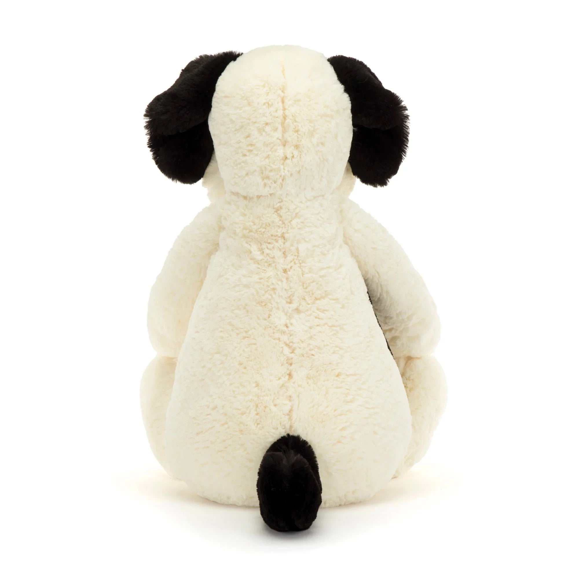BASHFUL BLACK & CREAM PUPPY