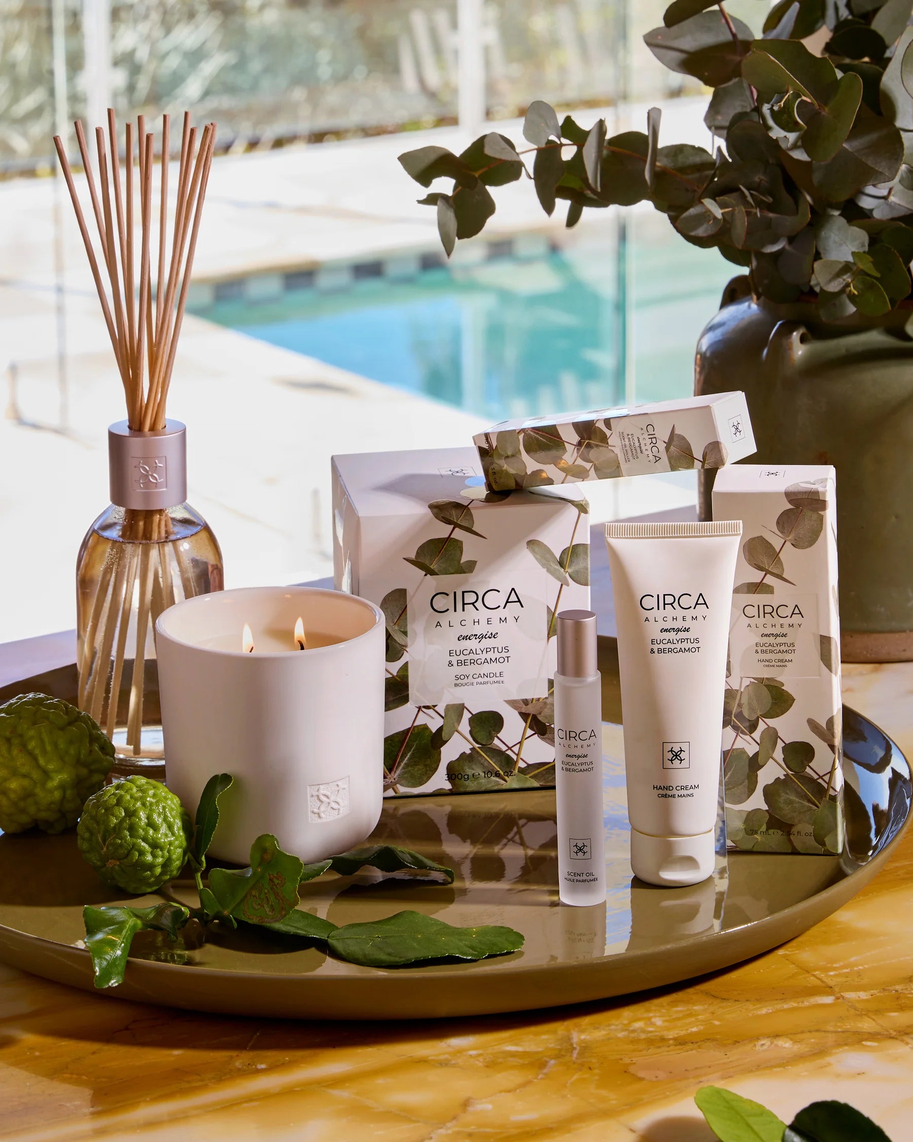 10ml Scent Oil - Alchemy Energise - EUCALYPTUS & BERGAMOT