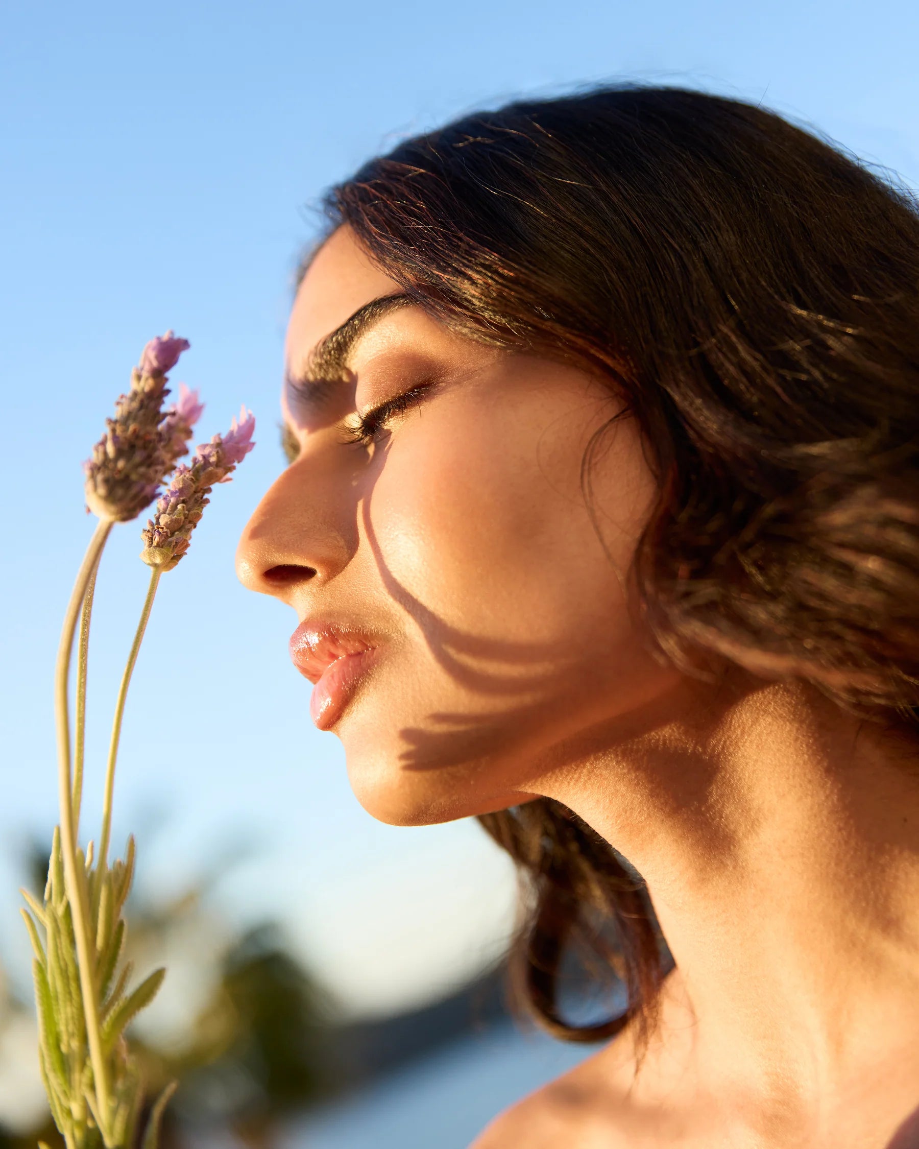 100ml Room & Linen Spray - Alchemy Relax - LAVENDER & GERANIUM