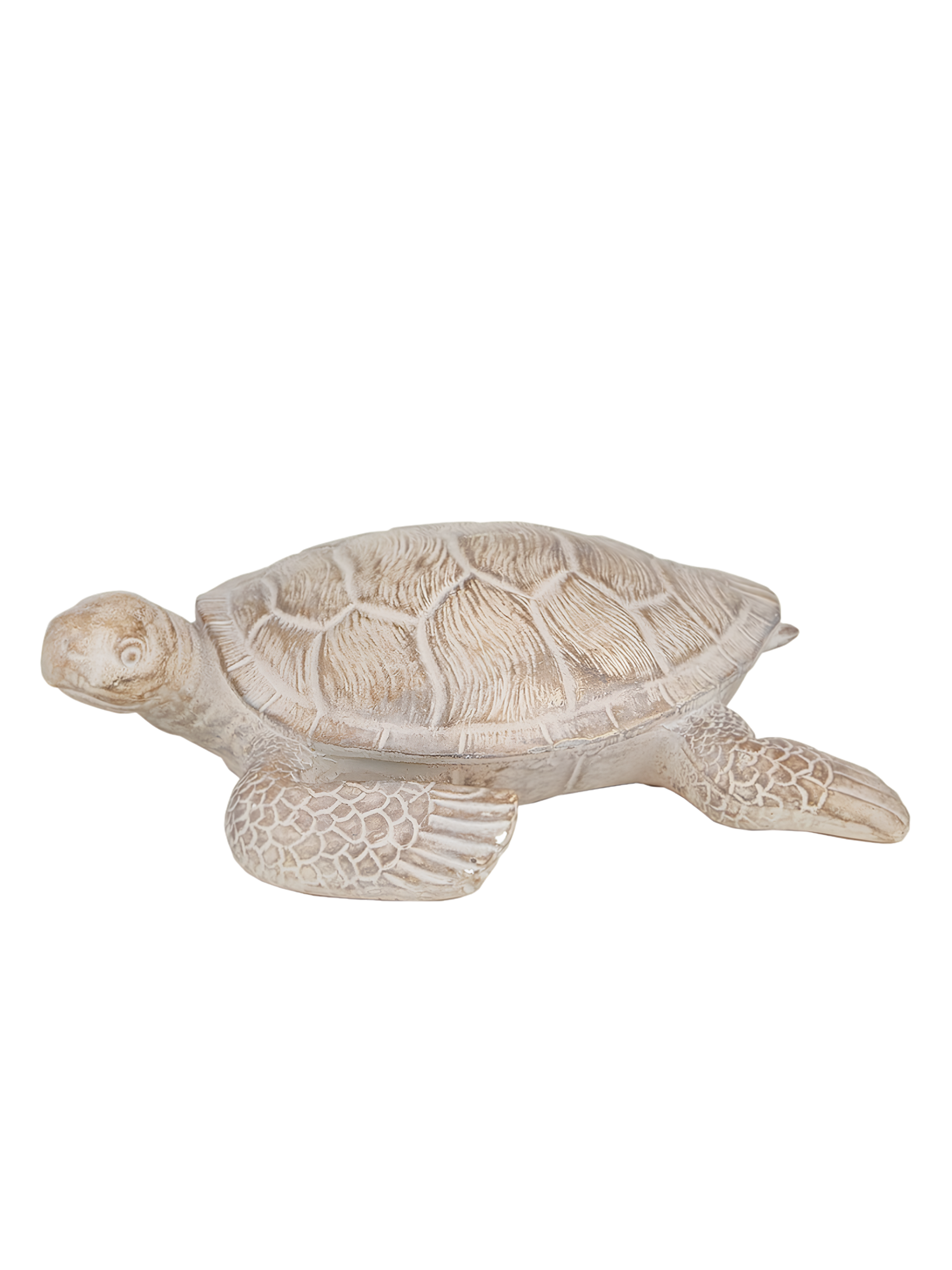 Terry Turtle Resin Sculpt 26.5x23cm