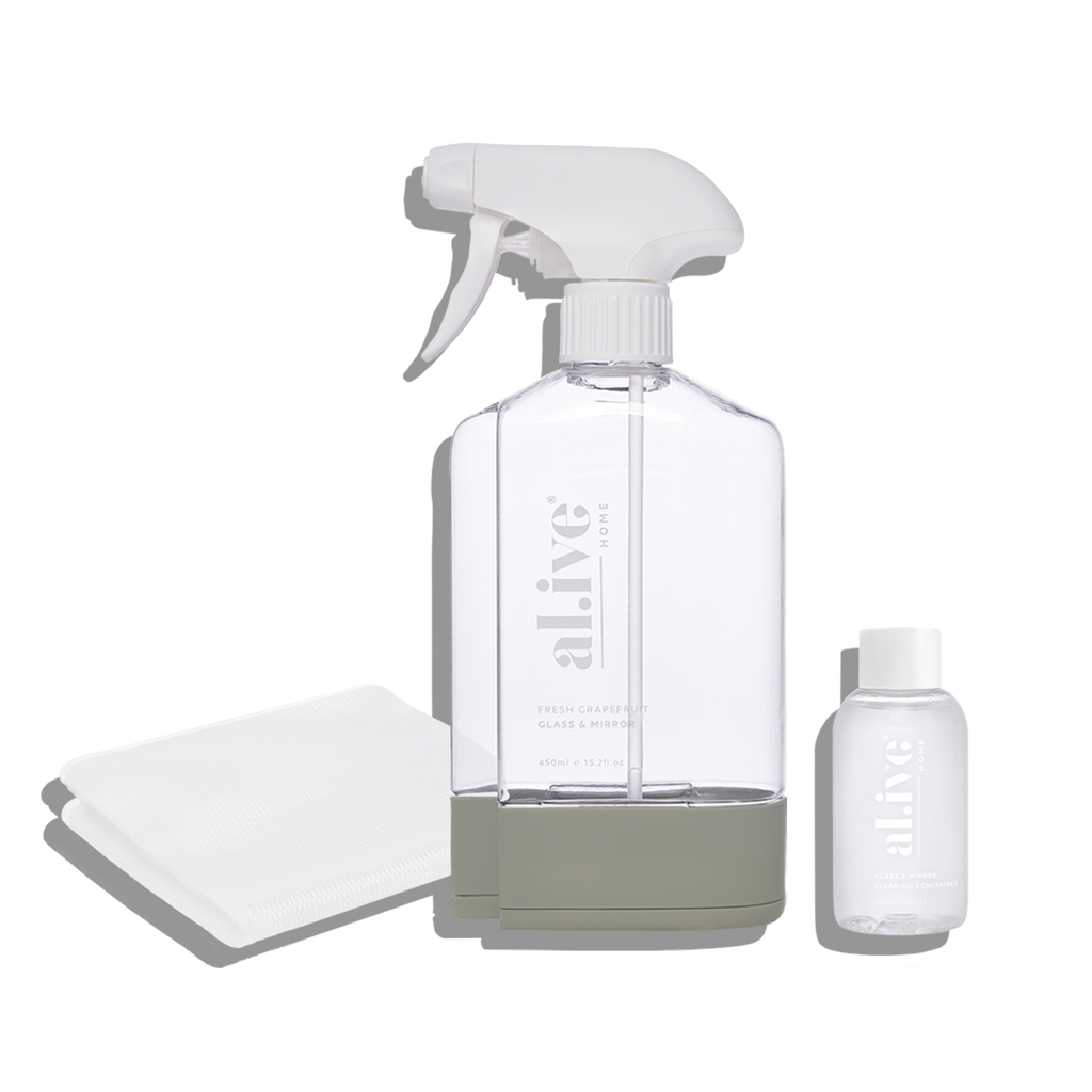 Glass and Mirror Cleaning Kit