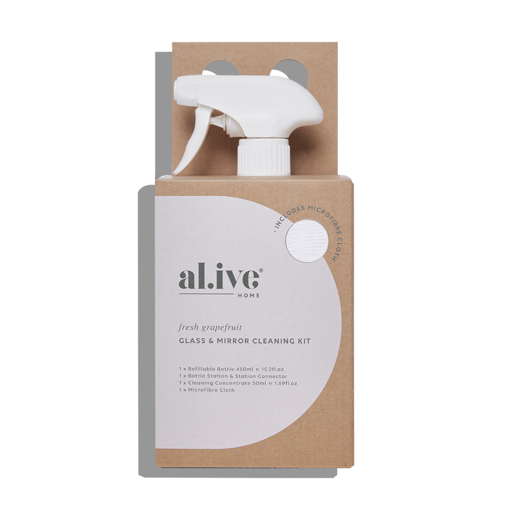 Glass and Mirror Cleaning Kit