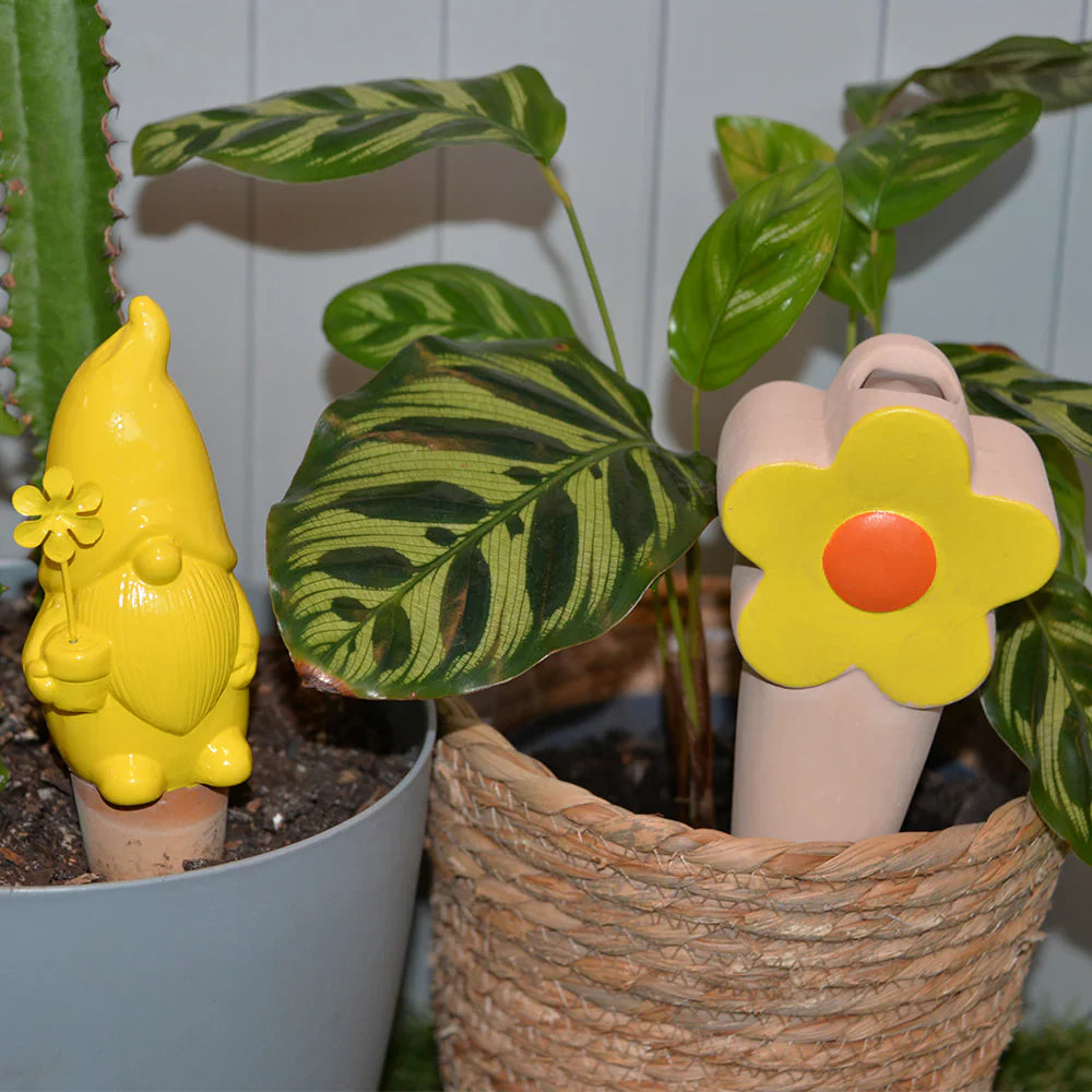 Sprout Plant Waterers - Gnome