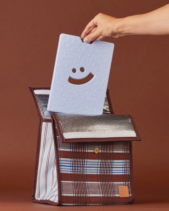Lunch Satchel