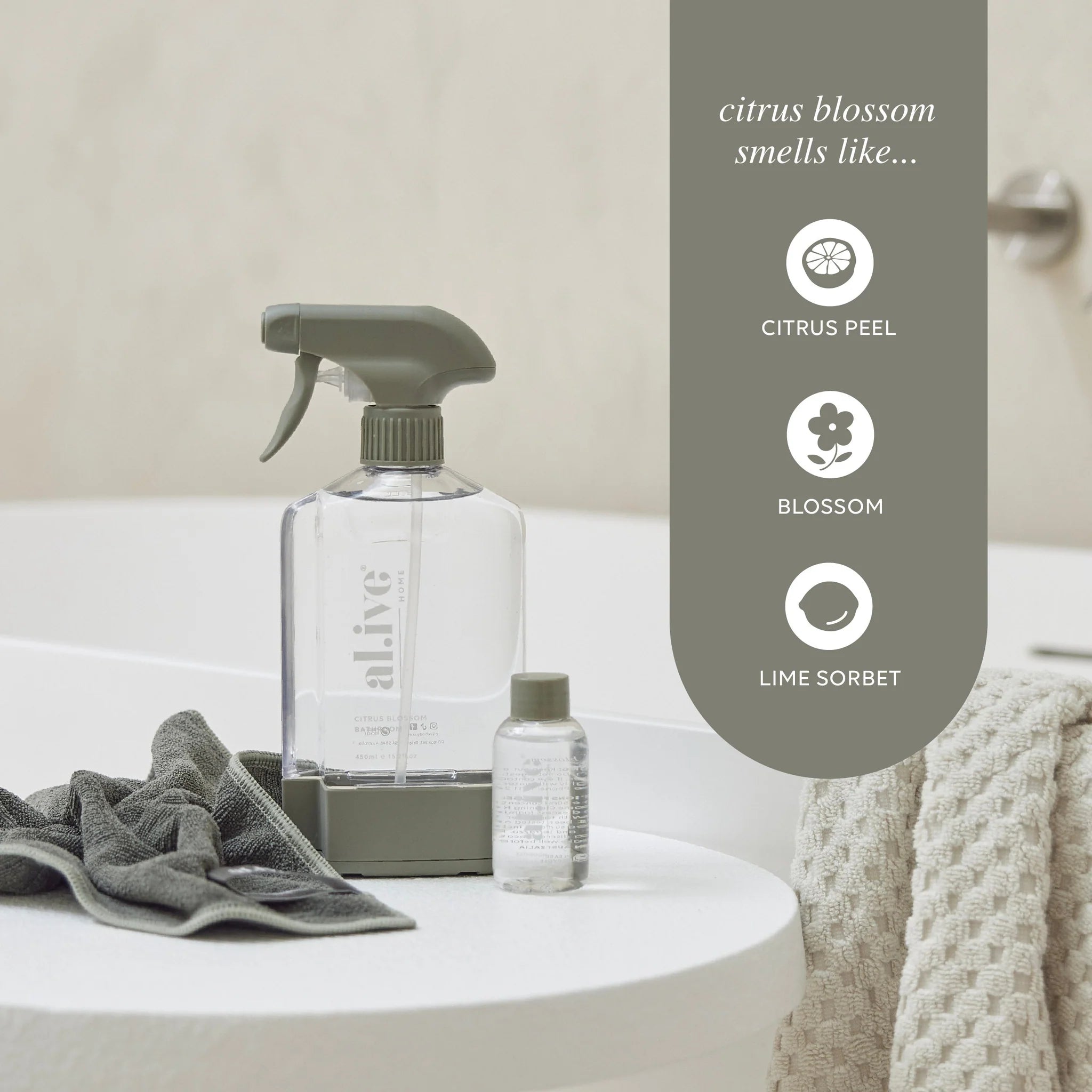 Bathroom Cleaning Kit