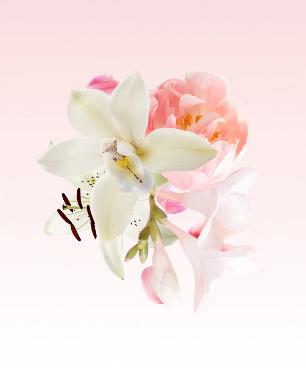 100ml FOREVER FLORENCE EDP