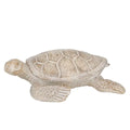 Terry Turtle Resin Sculpt 26.5x23cm