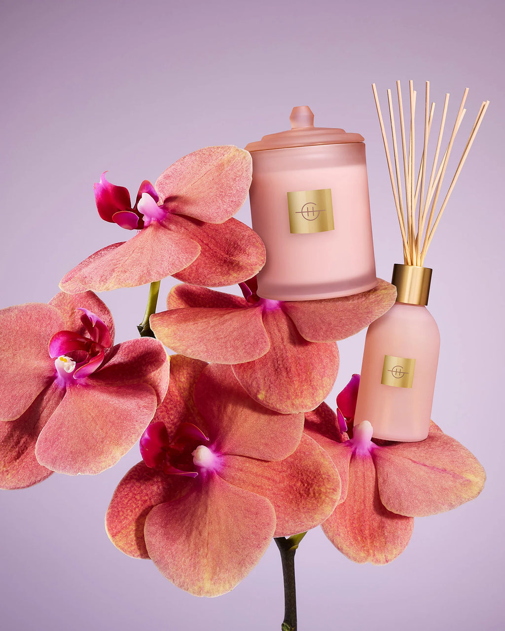 Radiance in Bloom Mothers Day 250ml Diffuser