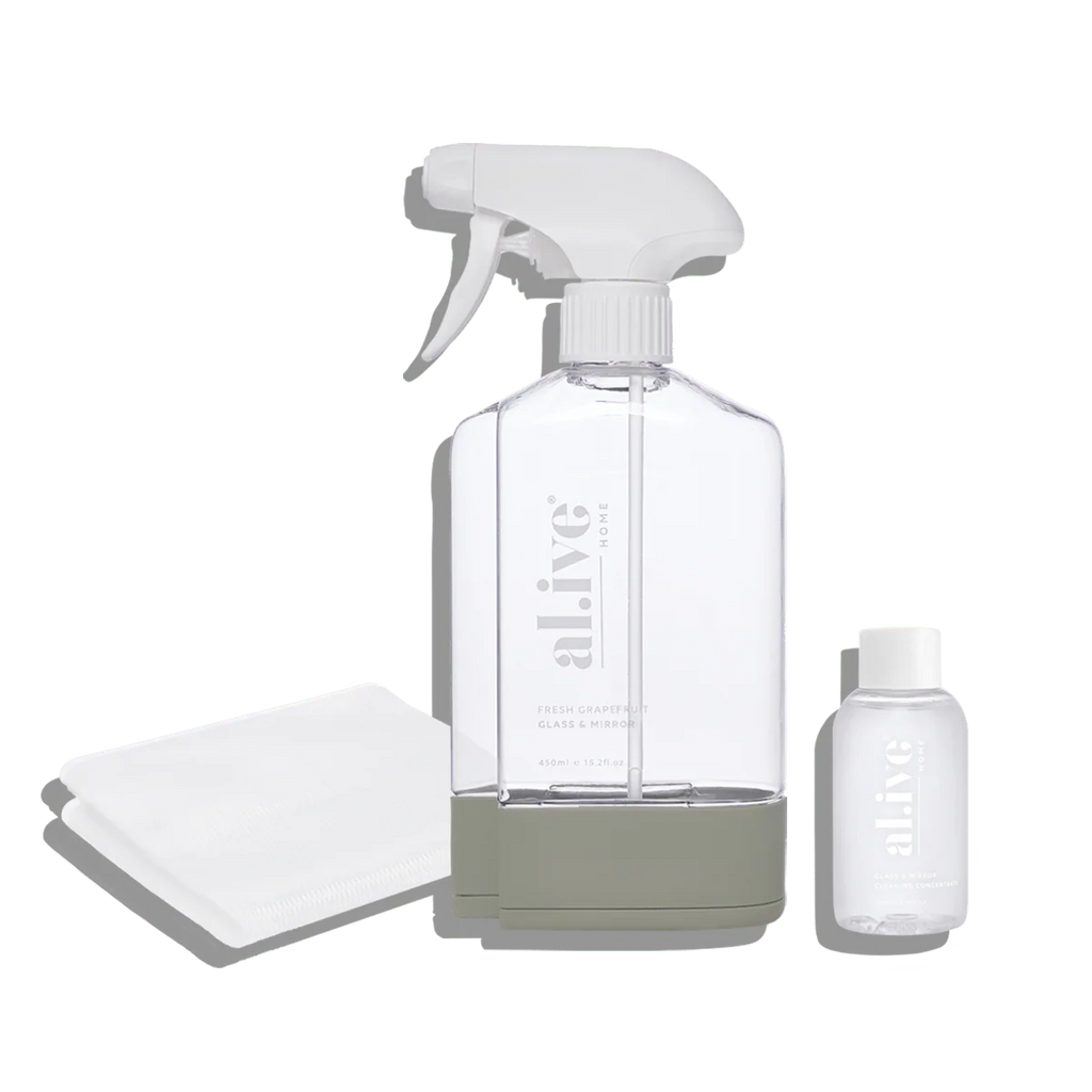 Glass and Mirror Cleaning Kit