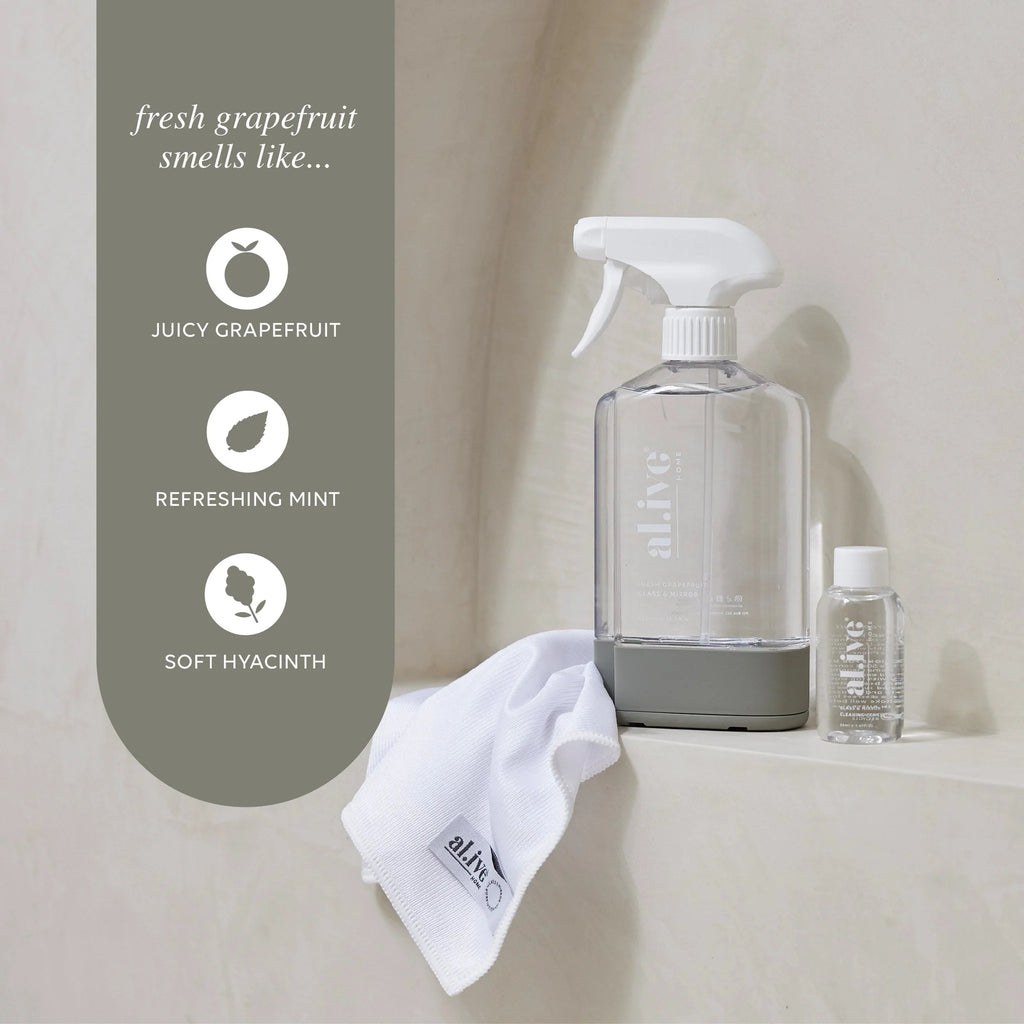 Glass and Mirror Cleaning Kit