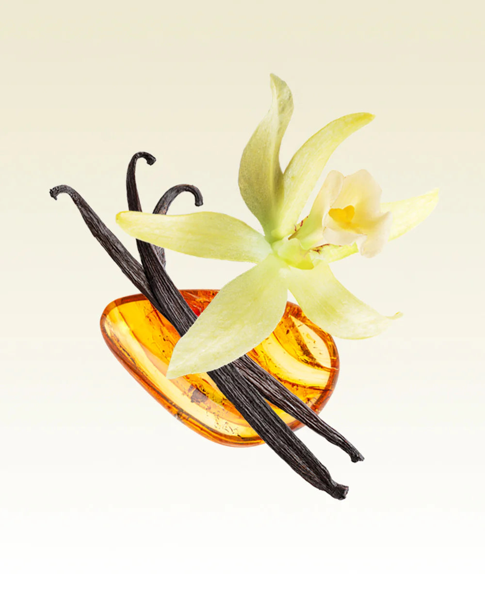 100ml KYOTO IN BLOOM EDP