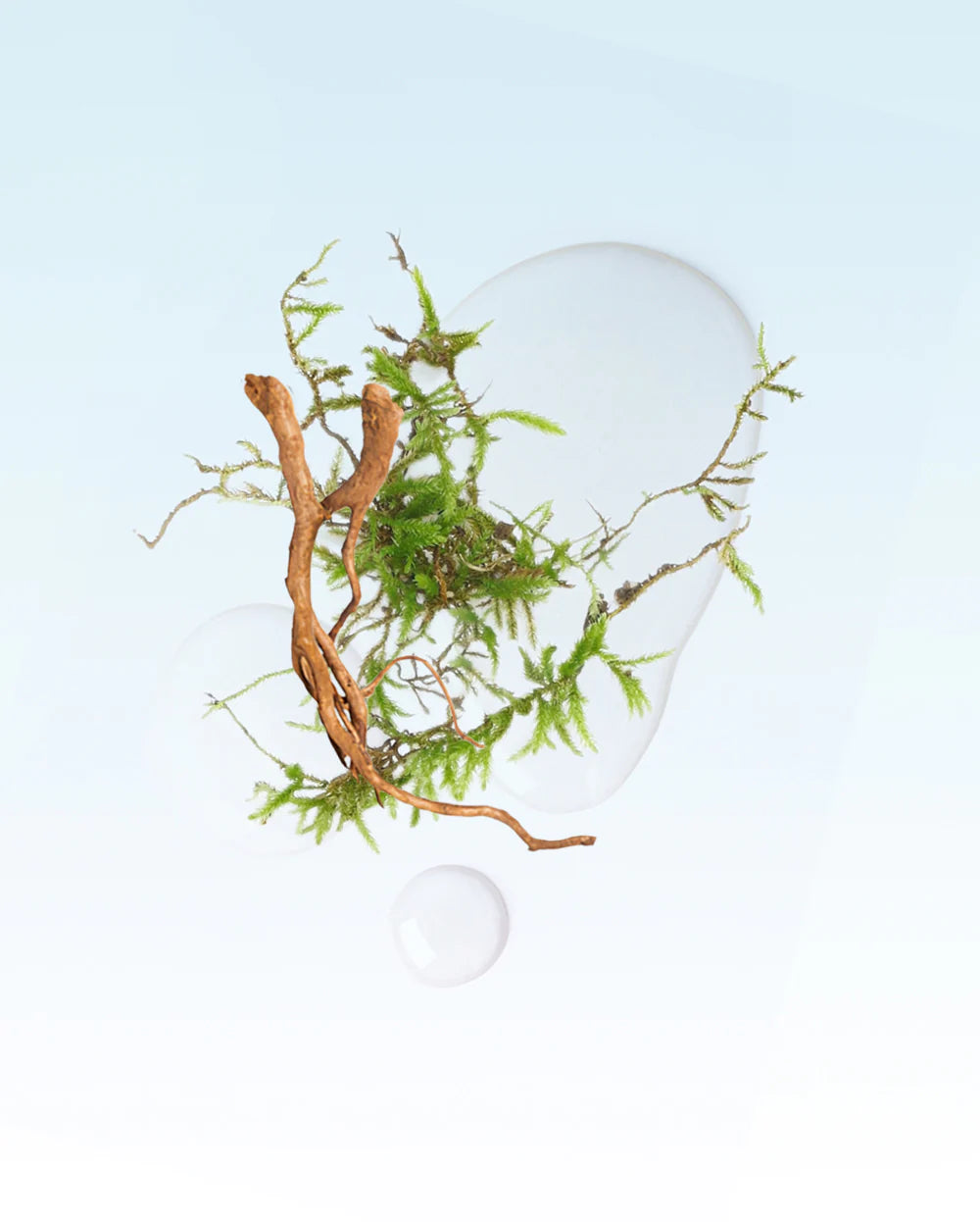 250ml THE HAMPTONS Diffuser