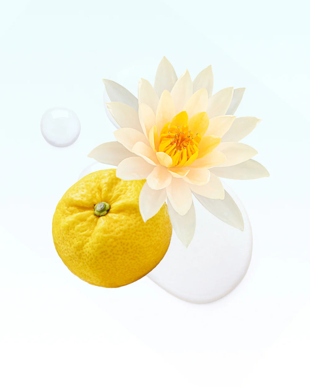 250ml VELVET RHAPSODY Diffuser