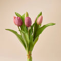 Tulip Bunch
